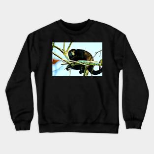 Alpha Monkey Crewneck Sweatshirt